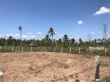 Land for sale in  Willattawa Bingiriya - Chillaw