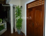 house for rent in kandy watapuluwa