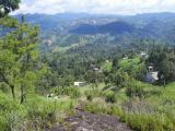 Code 3563 Land for sale Kandy