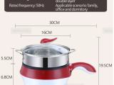 MultiFunction Electric Thermal Pot