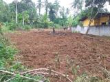Best Price Very good residential / agricultural land to sale in Kiriwaththuduwa , Kahathuduwa for urgent sale