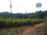 Land sale in Kuliyapitiya Weralugama