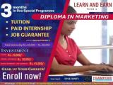 Diploma in Marketing - Learn & Earn