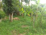 Land for Sale in Kuliyapitiya-Dandagamuwa Saru Uyana